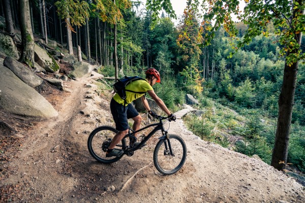 Mountain Biking Experiences Experiences