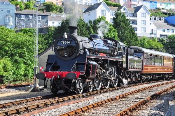 Steam Train Trips Experiences