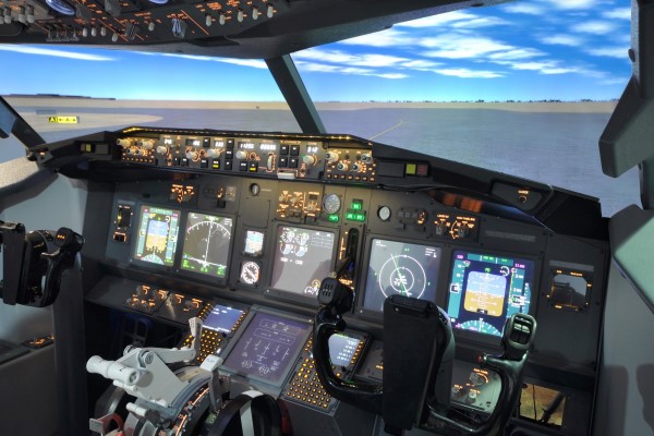 Flight Simulator Experiences