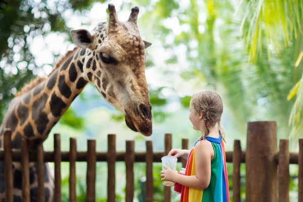 Animal Experience Gifts